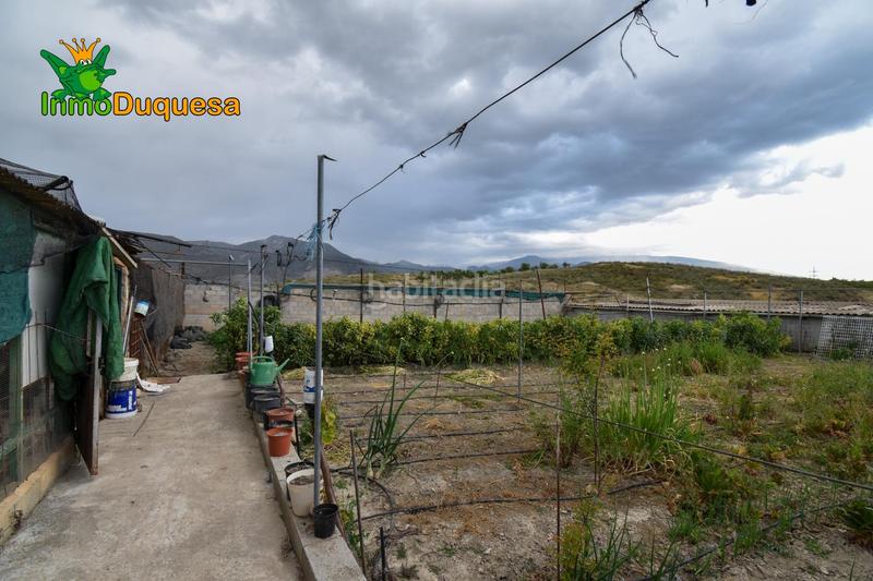 Foto b6d7f0bb-c78a-4695-ba6c-cec7ff2fab1f. Landgut in Padul