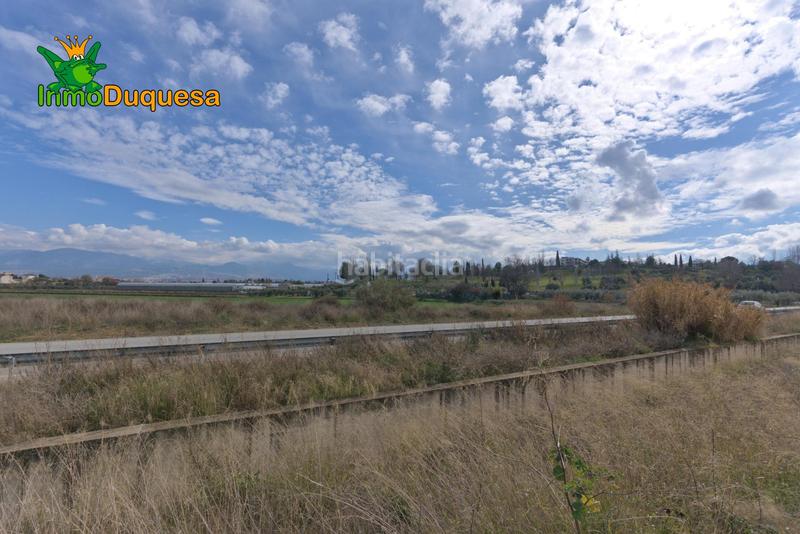 Foto 44caa4a2-bbdd-47cd-b637-31079d570e0c. Terreny residencial a calle de los alayos 14 a San Francisco - El Chorrillo Gabias (Las)