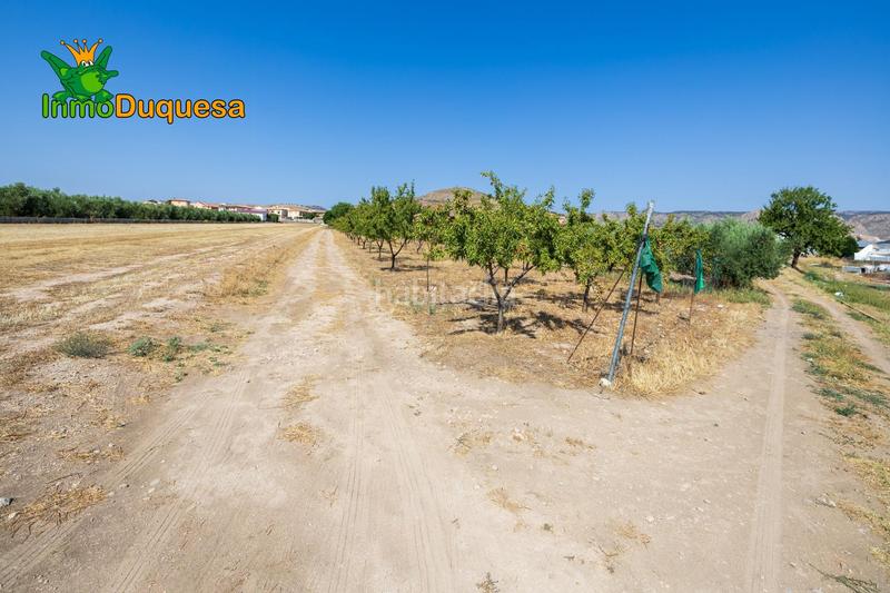 Foto 40203af9-ee30-4a3a-862f-aef21d4d1e13. Chalet finca de recreo a 20 minutos de granada ! en Darro