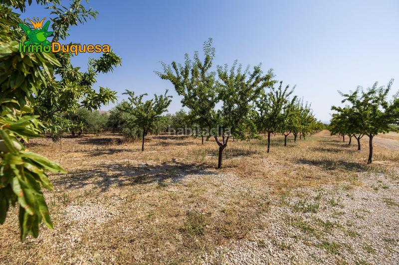 Foto 9e3ef3b5-300d-4bba-9ad3-7f5db866ddec. Chalet finca de recreo a 20 minutos de granada ! en Darro