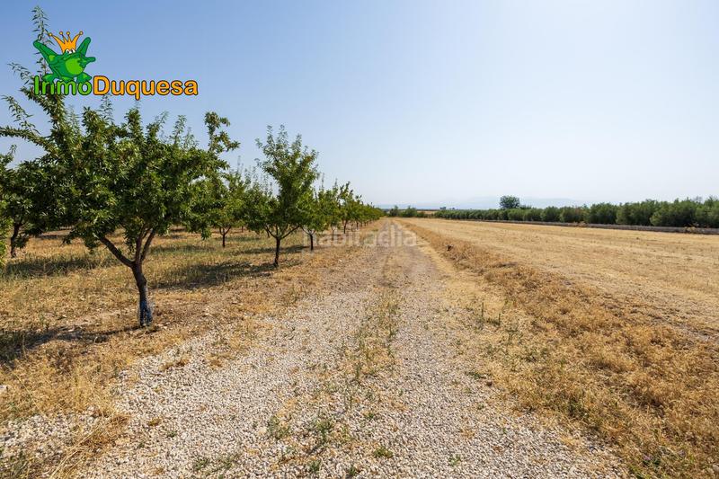 Foto bd68bf41-cf44-4db1-b10c-cdc425a0be38. Chalet finca de recreo a 20 minutos de granada ! en Darro