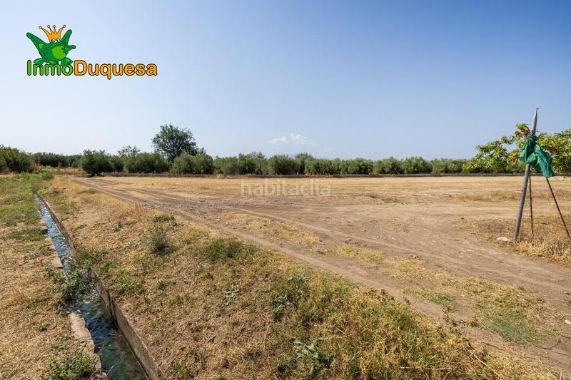 Foto cac3b68a-461e-4046-b89d-d9321b4a7132. Chalet finca de recreo a 20 minutos de granada ! en Darro