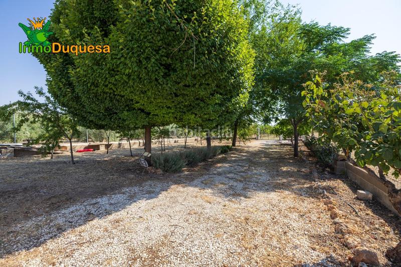 Foto d7e0d6cf-e37d-4cd6-b785-9105d70191a7. Chalet finca de recreo a 20 minutos de granada ! en Darro