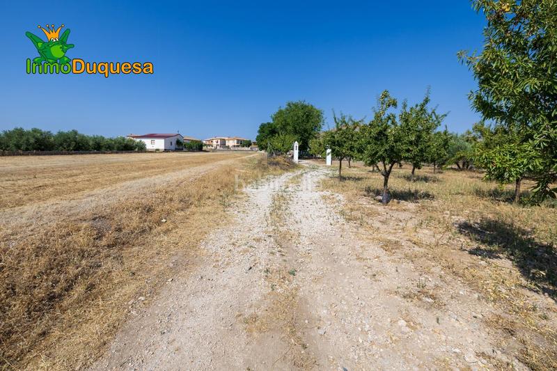 Foto fd6ce13f-5d11-4674-be6a-320707fbf352. Chalet finca de recreo a 20 minutos de granada ! en Darro
