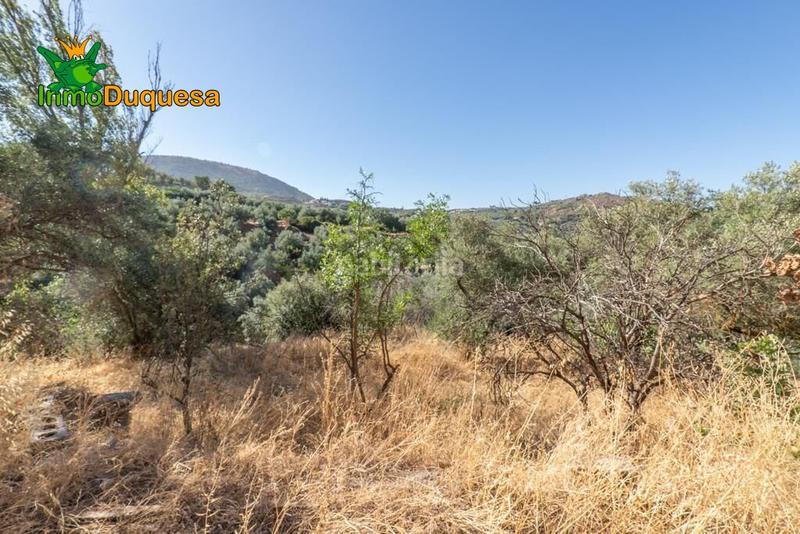 Foto 00a172da-4472-48b9-a6cd-85967762089d. Masía terreno rústico con cortijo en cogollos vega en Cogollos de la Vega