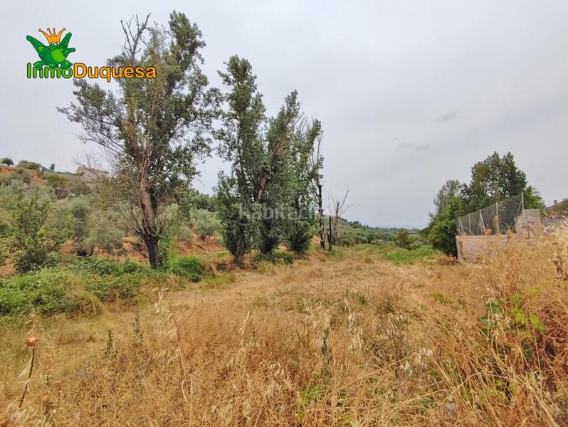 Foto 0fed92a1-dbd7-498e-9f20-e615a7ad2258. Masía terreno rústico con cortijo en cogollos vega en Cogollos de la Vega