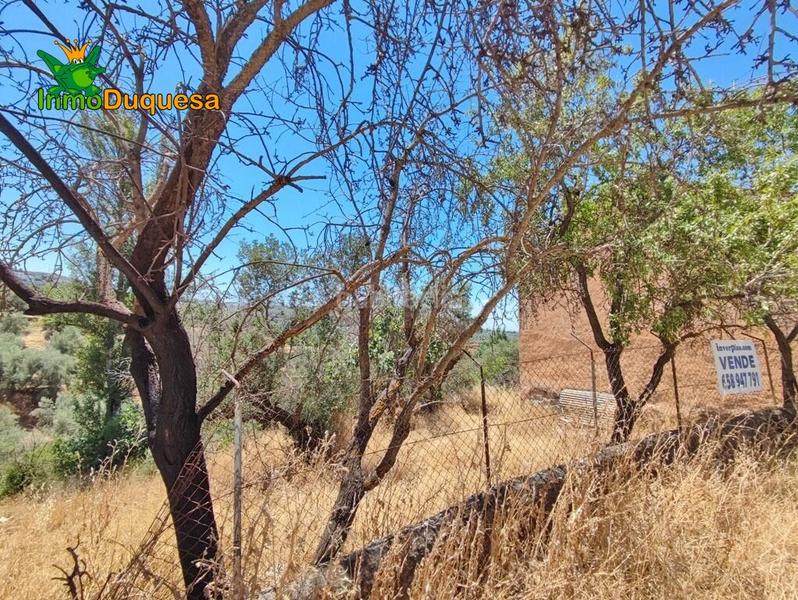 Foto 16cad6d5-d380-4e87-9ce8-11ac51e321c2. Masía terreno rústico con cortijo en cogollos vega en Cogollos de la Vega