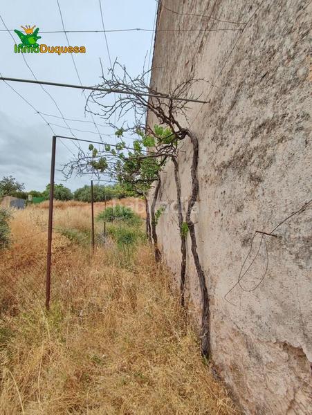 Foto 266d84bb-27f5-4e12-b4ab-0c1cb7076024. Masía terreno rústico con cortijo en cogollos vega en Cogollos de la Vega