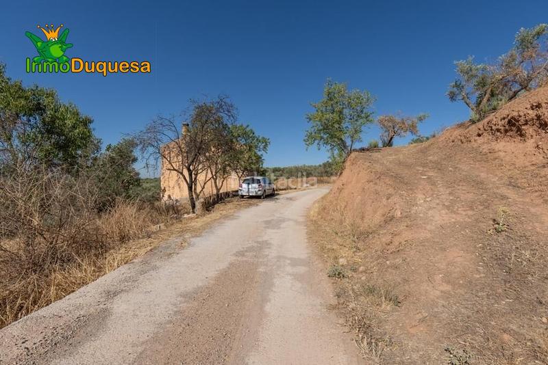 Foto 26f9c072-fab1-4ff1-9929-983474a97609. Masía terreno rústico con cortijo en cogollos vega en Cogollos de la Vega