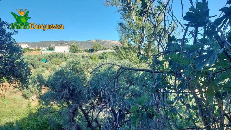 Foto 432dd97a-8615-48f6-872f-e25ac059a9a0. Masía terreno rústico con cortijo en cogollos vega en Cogollos de la Vega