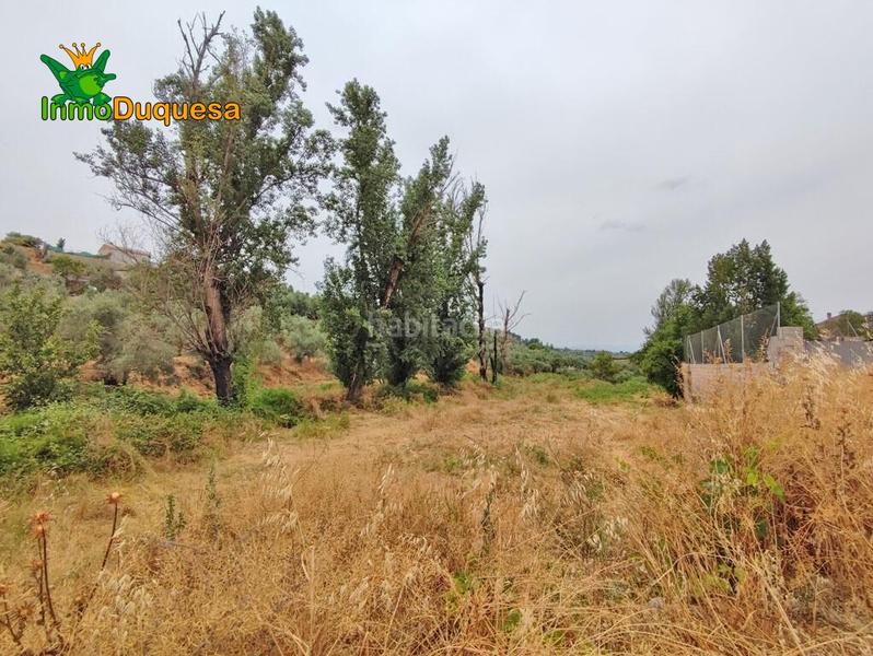Foto 5d1b6a09-3866-4c10-ac1d-0a443b5b007c. Masía terreno rústico con cortijo en cogollos vega en Cogollos de la Vega