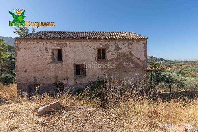 Foto 76ba4316-35c3-49b1-8058-f03780006982. Masía terreno rústico con cortijo en cogollos vega en Cogollos de la Vega