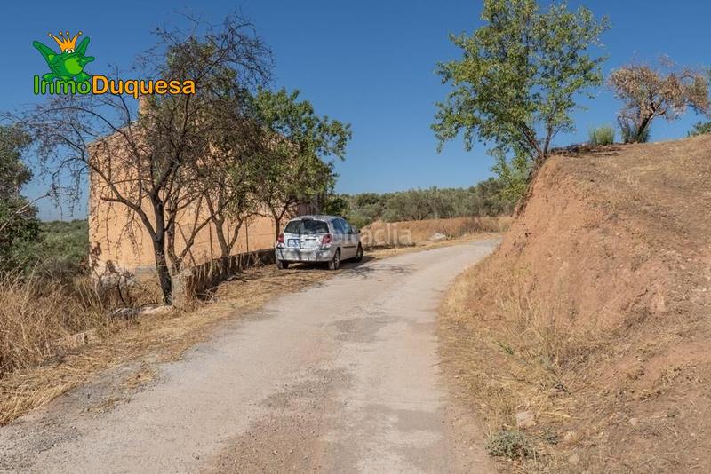 Foto 98135a85-409b-41bb-84d8-a58d912dbdbc. Masía terreno rústico con cortijo en cogollos vega en Cogollos de la Vega