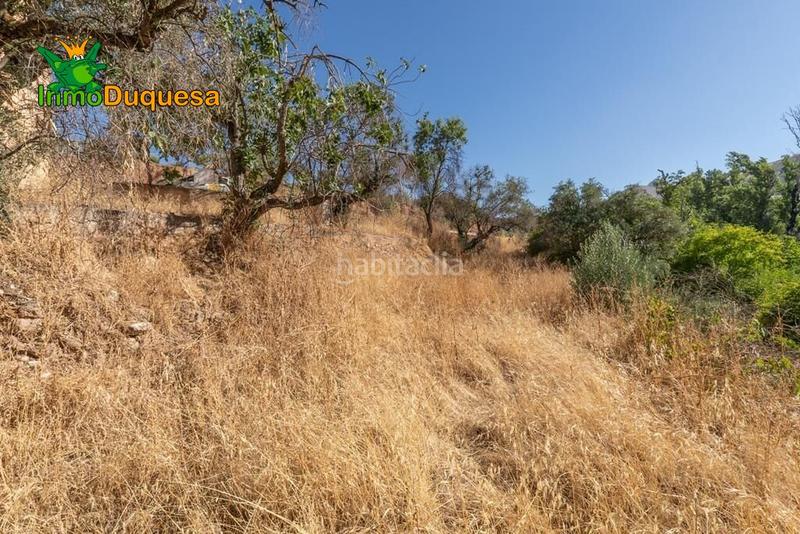 Foto b1f1c7f2-3005-4cf4-9ab2-b987a07b3625. Masía terreno rústico con cortijo en cogollos vega en Cogollos de la Vega