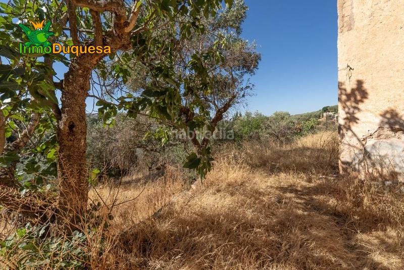 Foto c6e474bf-80c2-4b78-bc47-e11bcccda6f4. Masía terreno rústico con cortijo en cogollos vega en Cogollos de la Vega