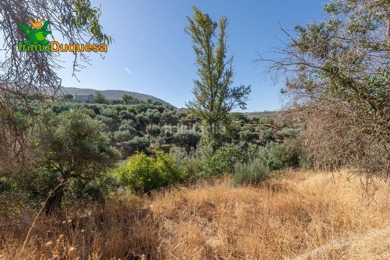 Foto d3f92130-d2e2-483e-b245-1323541760d2. Masía terreno rústico con cortijo en cogollos vega en Cogollos de la Vega