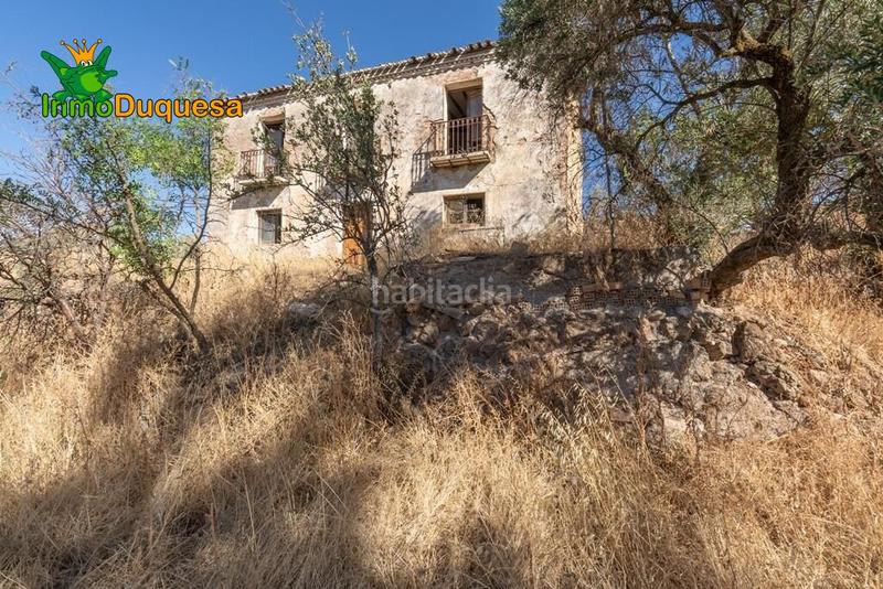 Foto ec7e70d5-bf40-4048-8f62-ea64ab09b08e. Masía terreno rústico con cortijo en cogollos vega en Cogollos de la Vega