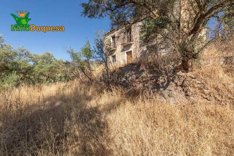 Foto fe32476e-771b-4e7f-84d2-c56b46968ef1. Masía terreno rústico con cortijo en cogollos vega en Cogollos de la Vega