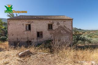 Mas à Cogollos de la Vega. Terreno rústico con cortijo en cogollos vega