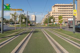 Locale commerciale in Campus de la Salud