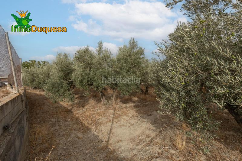 Foto 19eda560-1241-4dff-9be0-44213e98c557. Masia amb aparcament piscina a Polideportivo Alhendín