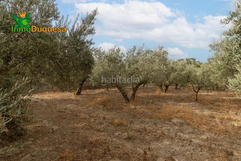 Foto 39b62dae-5a29-4c4a-a93a-5ac32c407457. Masia amb aparcament piscina a Polideportivo Alhendín