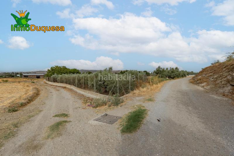 Foto 4abbed4b-57c7-4199-8c98-189dc94f9b64. Masia amb aparcament piscina a Polideportivo Alhendín
