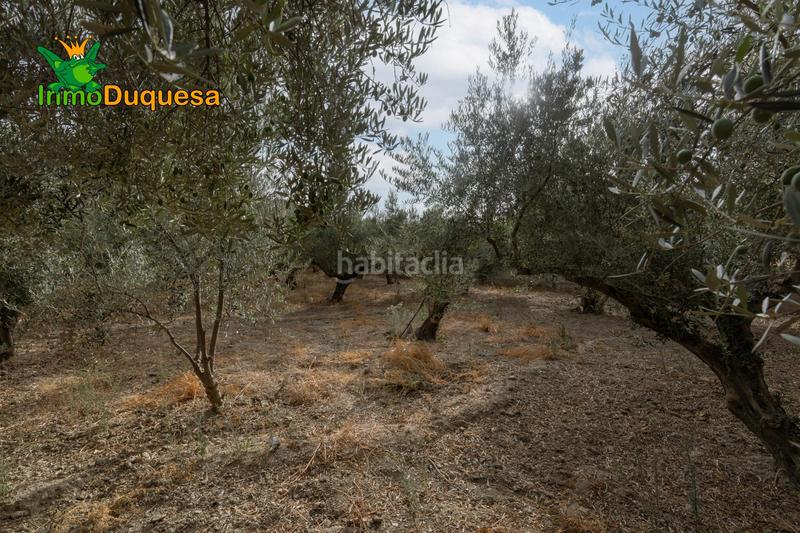Foto 56307e5f-80de-443b-a968-c4f111ac39b8. Masia amb aparcament piscina a Polideportivo Alhendín