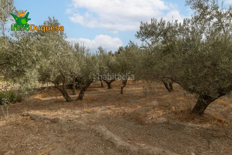 Foto 589ad2ae-5f29-433b-9023-40241631f2e1. Masia amb aparcament piscina a Polideportivo Alhendín