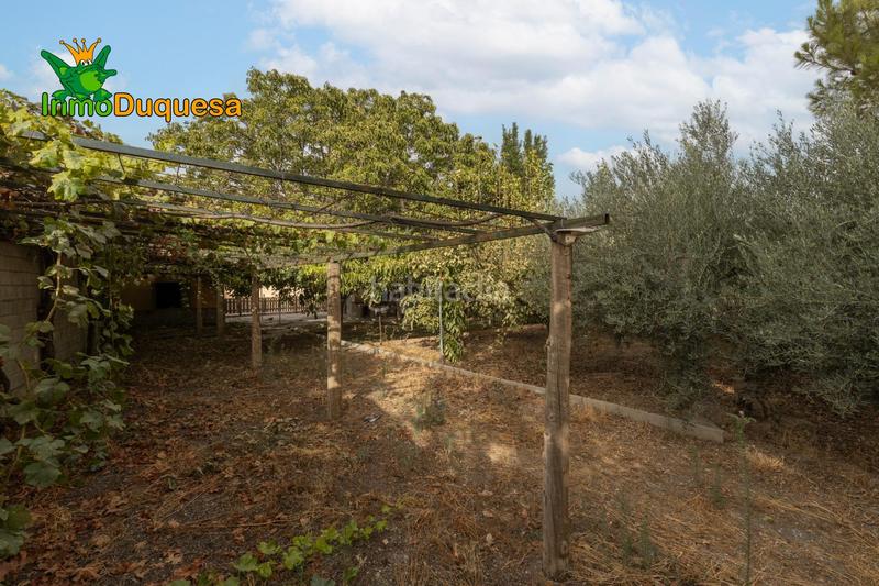 Foto 63886e3a-bafe-479e-9da1-7371b5f0bb6c. Masia amb aparcament piscina a Polideportivo Alhendín