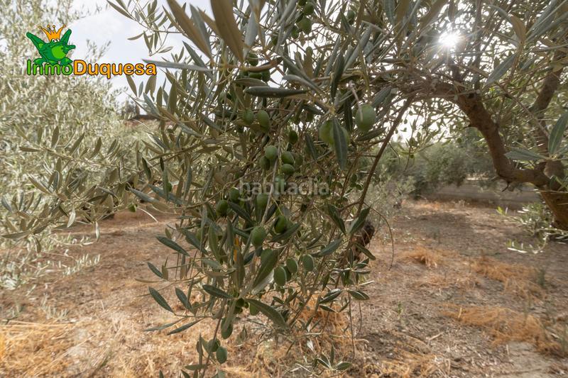 Foto 969f6009-8c25-4a43-9e33-19880a619316. Masia amb aparcament piscina a Polideportivo Alhendín