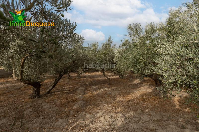 Foto 96be483c-a5bd-4bcc-b2f4-5870a8ecd0b8. Masia amb aparcament piscina a Polideportivo Alhendín