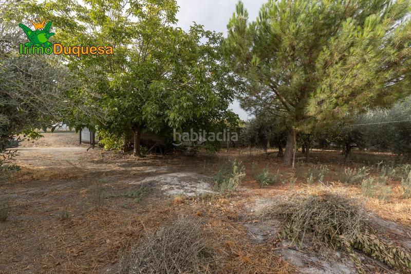 Foto 9d474a67-ac68-40aa-a9c2-778964f9ef35. Masia amb aparcament piscina a Polideportivo Alhendín