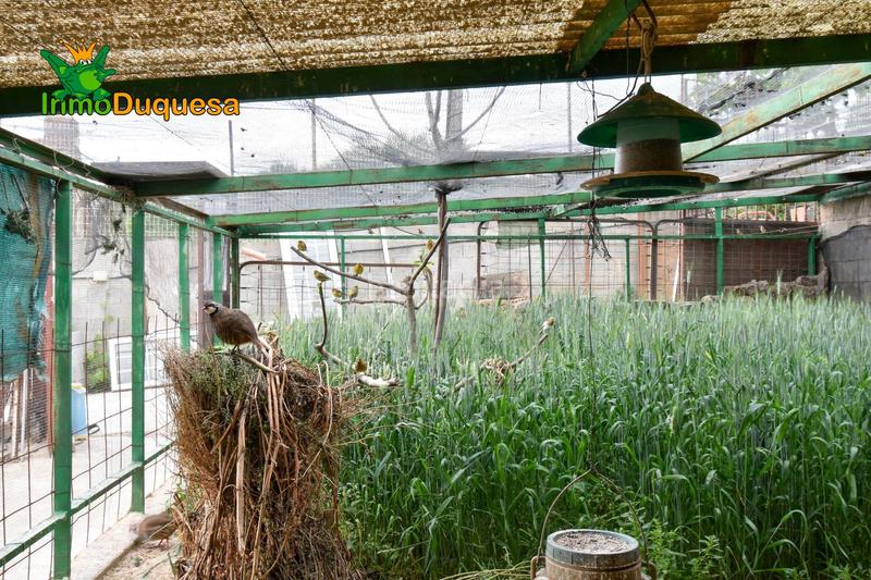 Foto 304ca7bb-8e92-4fd3-ac3a-65fd872ab303. Casale con riscaldamento parcheggio in Padul