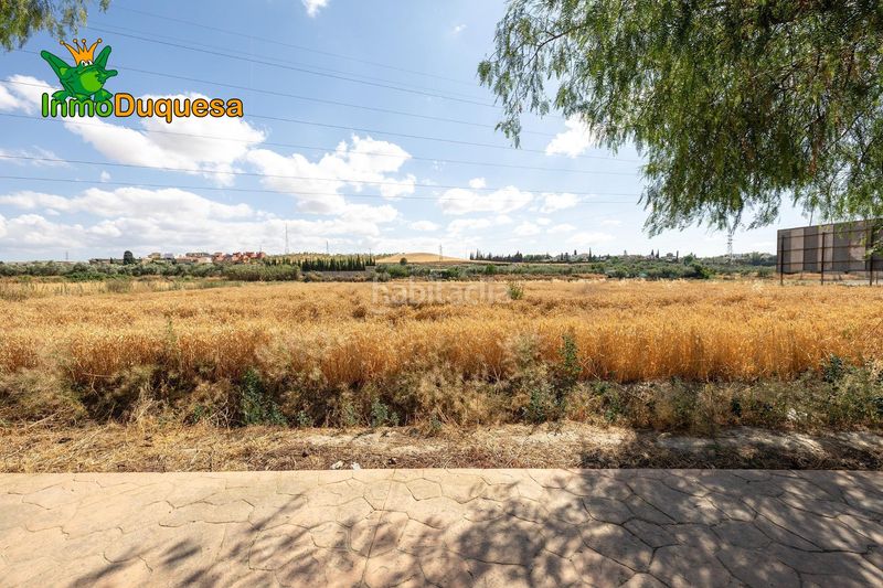 Foto 495f4b7d-8013-4746-9b84-e95fceef5efd. Masia a Híjar Gabias (Las)