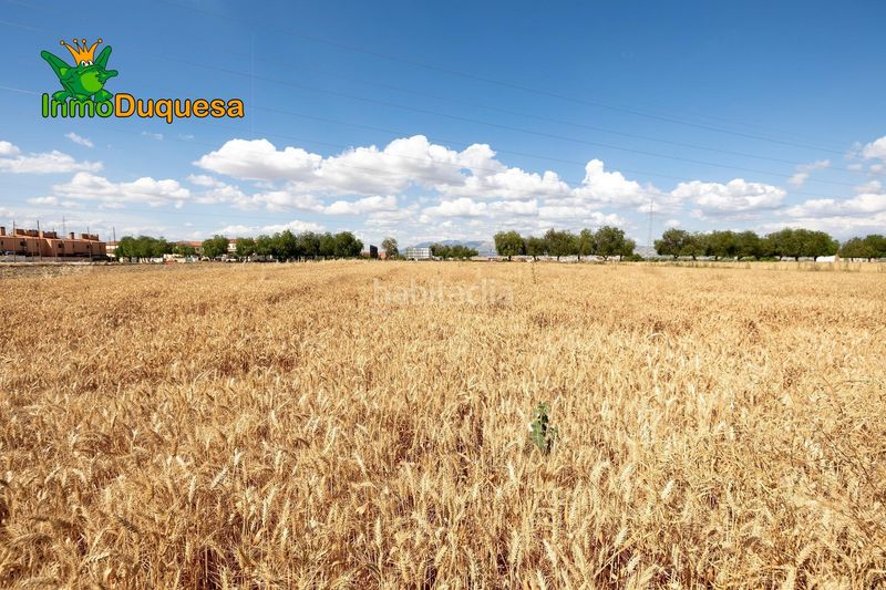 Foto b35e098c-71c6-4ccb-92a3-93c781e4a350. Masia a Híjar Gabias (Las)
