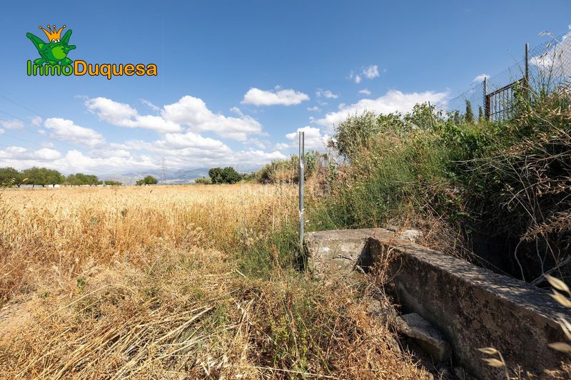 Foto caab294a-06f1-4adf-b1c8-3754cec2b607. Masia a Híjar Gabias (Las)