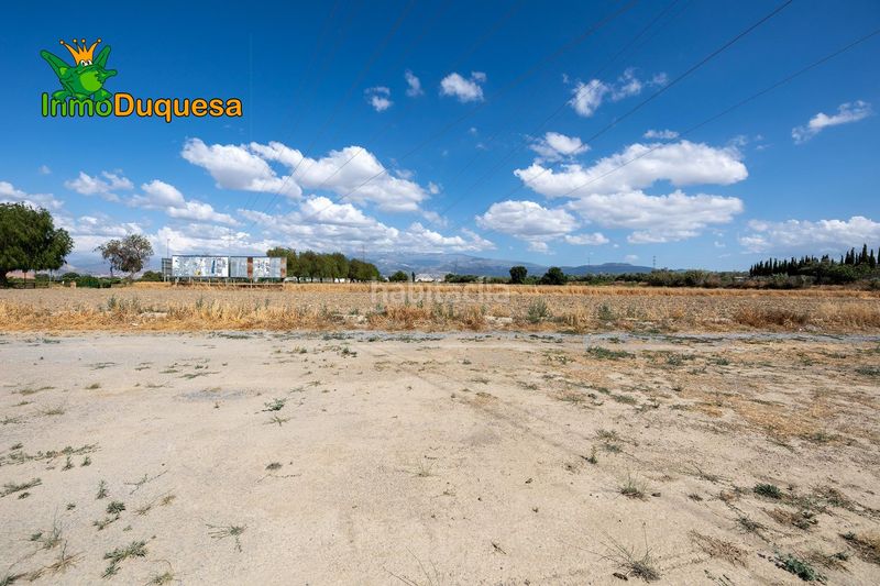 Foto e20661b8-7e32-40b5-a3a1-b81f3536b426. Masia a Híjar Gabias (Las)