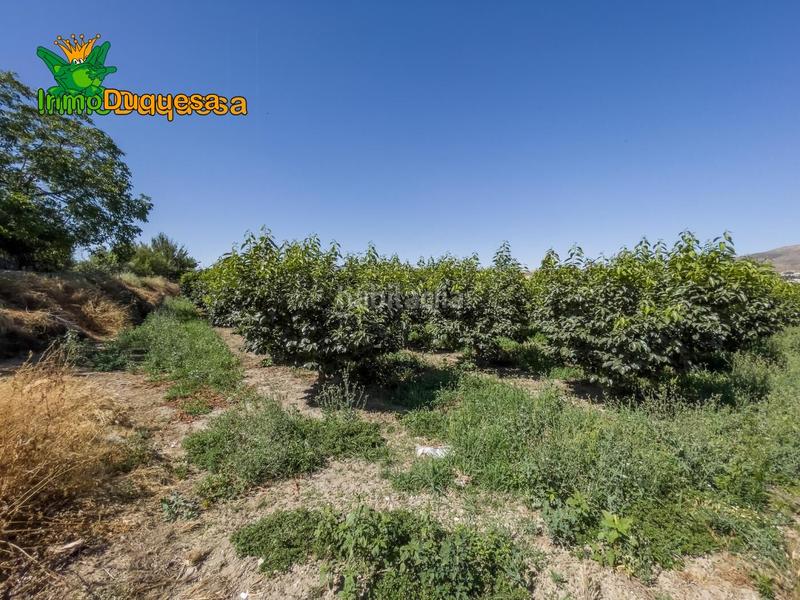 Foto 68b4b4ac-c6ce-4b8b-b5a5-9efcb30adb9e. Country house in camino pre ramal del molino pol.3 par in Zubia (La)