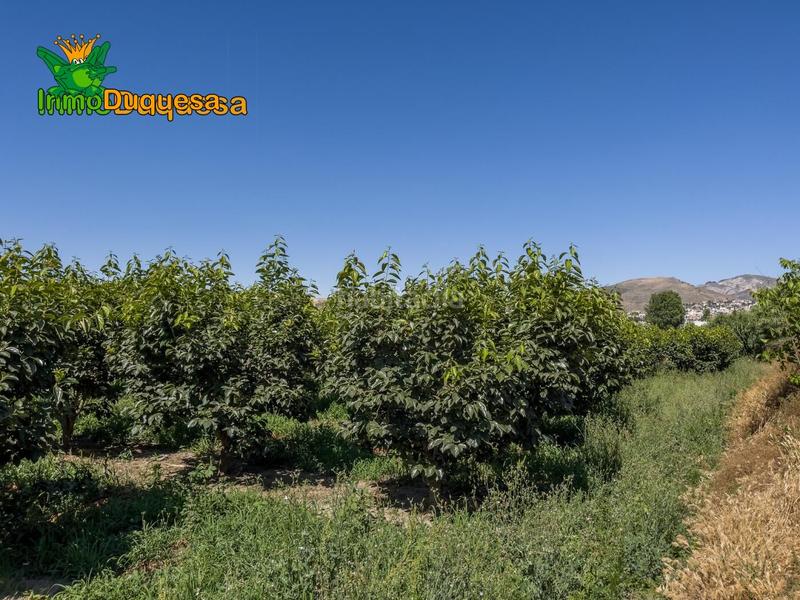 Foto b5a1969d-e2bf-4683-a621-4bab6ed19a5b. Country house in camino pre ramal del molino pol.3 par in Zubia (La)