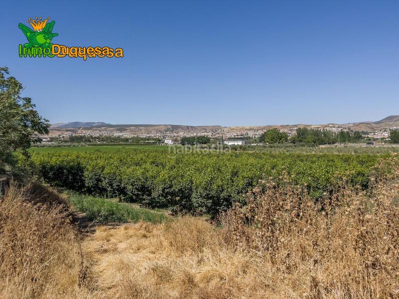 Foto c62bb1b7-9d77-47de-bcab-7b6f7eca1063. Country house in camino pre ramal del molino pol.3 par in Zubia (La)