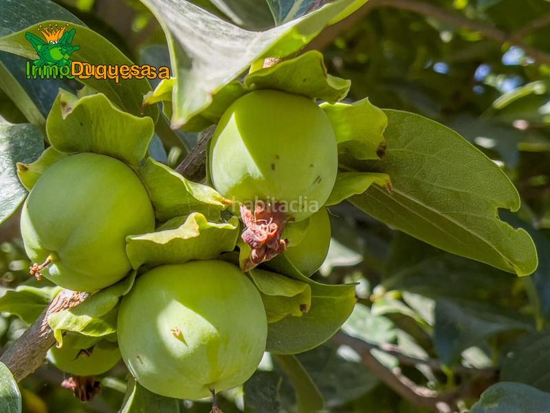 Foto d3d00eaa-799d-4e3a-91c8-9ea304118da2. Country house in camino pre ramal del molino pol.3 par in Zubia (La)