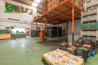 Fabrikhalle in Almuñecar centro. Nave industrial con cámaras de frio.