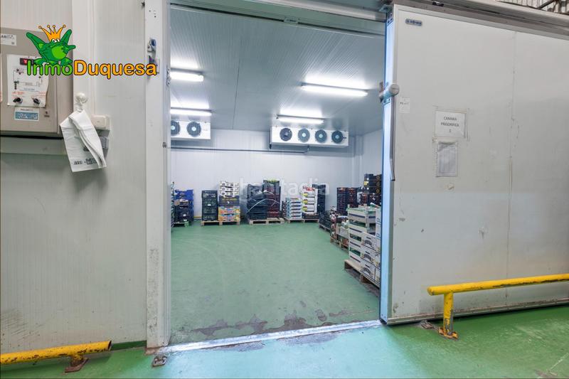 Foto b849b44f-3bc9-401a-a611-622ce202dc56. Bâtiment à usage industriel dans Almuñecar centro Almuñécar