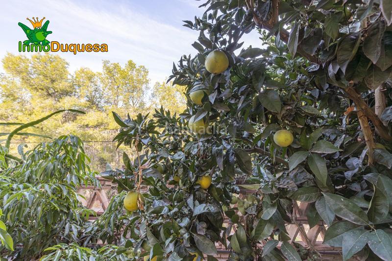 Foto 08448ad1-9341-4670-828d-4901a6a040e3. Chalet mit heizung parking pool in Velilla - Velilla Taramay Almuñécar