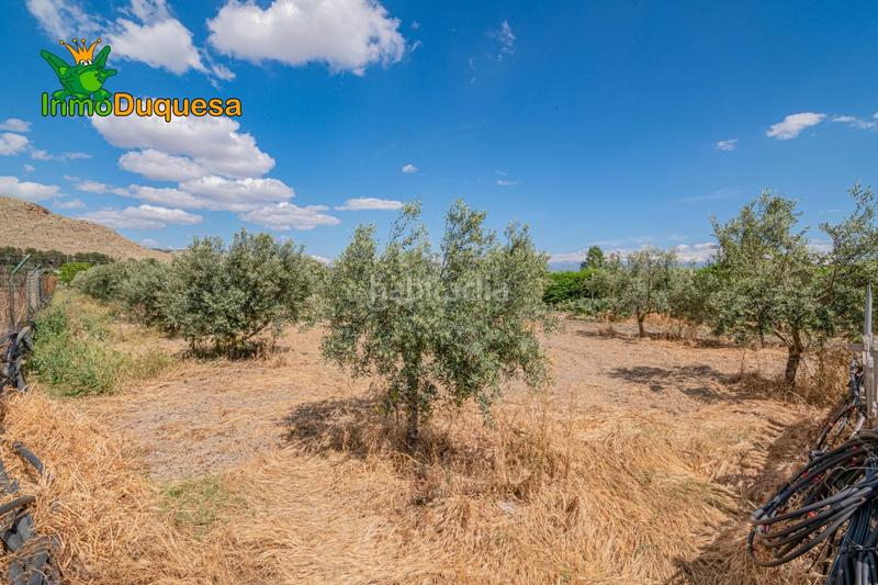 Foto 0f57c383-1d4e-47df-b445-2be9c842f23e. Bauernhof mit parking in Pinos Puente