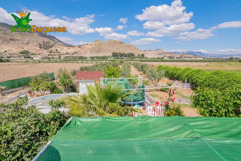 Foto 53c7ea60-ee74-4721-876e-82cff066e50c. Bauernhof mit parking in Pinos Puente