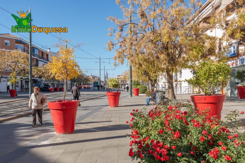 Foto bb9aa11f-199a-46c3-a35d-1d8629358795. Pis a Poniente Armilla