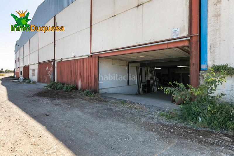 Foto b18b26f5-a16f-4f69-b005-1442145e337e. Fabrikhalle in Cijuela