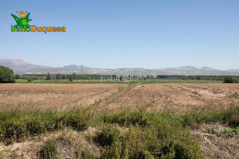 Foto d9e9ffb3-e1e2-4c3c-9d12-5e399d2aa593. Fabrikhalle in Cijuela